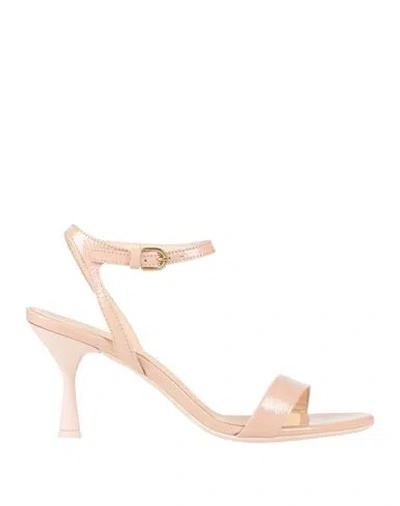 Agl Attilio Giusti Leombruni Agl Woman Sandals Light Pink Size 10.5 Leather