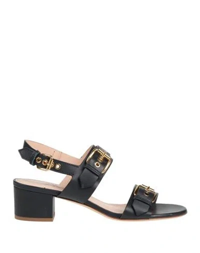 Agl Attilio Giusti Leombruni Agl Woman Sandals Midnight Blue Size 8 Leather In Animal Print