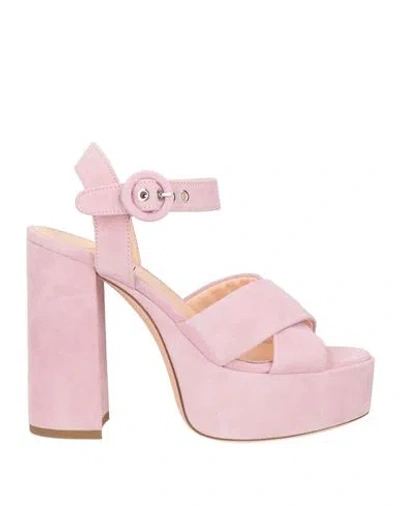 Agl Attilio Giusti Leombruni Agl Woman Sandals Pink Size 8.5 Leather