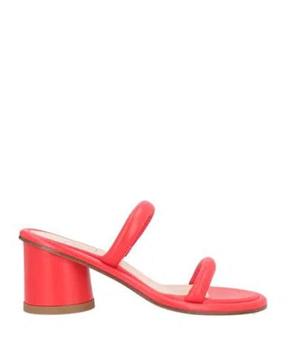 Agl Attilio Giusti Leombruni Alison Leather Sandals In Red