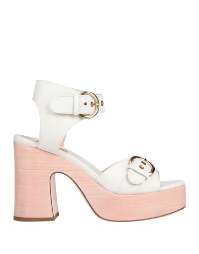 Agl Attilio Giusti Leombruni Sandals In White