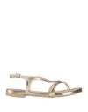 Agl Attilio Giusti Leombruni Agl Woman Thong Sandal Platinum Size 6 Leather In Grey