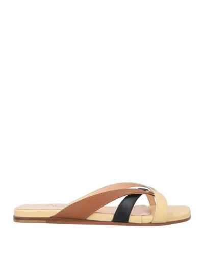 Agl Attilio Giusti Leombruni Agl Woman Thong Sandal Sand Size 7.5 Leather