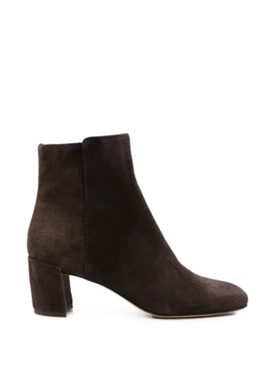 Agl Attilio Giusti Leombruni Lynn Suede Ankle Boots In Multi