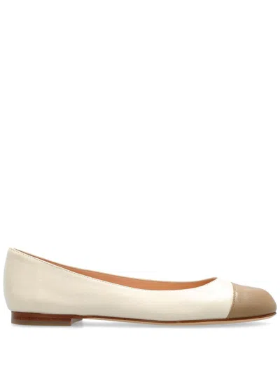 AGL ATTILIO GIUSTI LEOMBRUNI MILLY BALLERINA SHOES