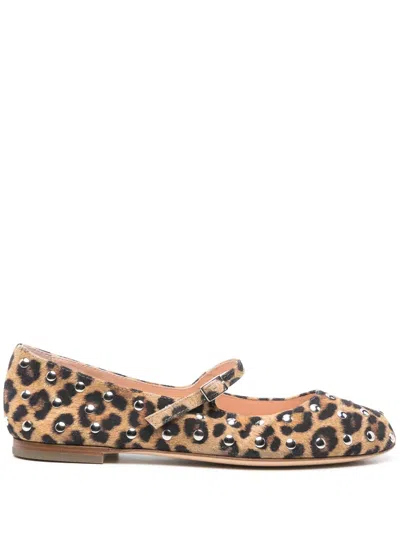 Agl Attilio Giusti Leombruni Studded Ballet Flats In Brown