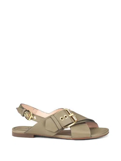 Agl Attilio Giusti Leombruni Summer Criss-cross Sandals In Multi