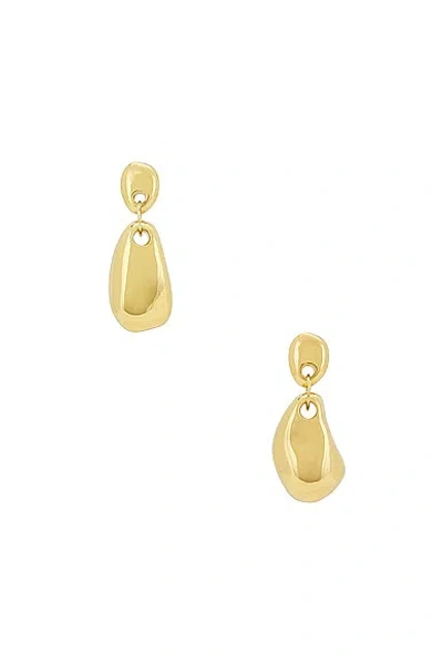 Agmes Luna Earrings In Gold Vermeil