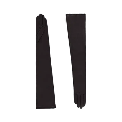 Agnelle Glamour Leather Gloves Arm Length In Black