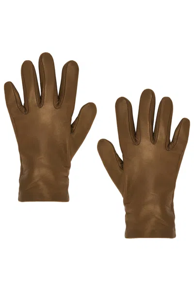 Agnelle Ines Gloves In Brown