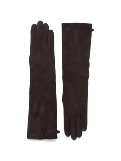 Agnelle Opera Suede Gloves In 브라운