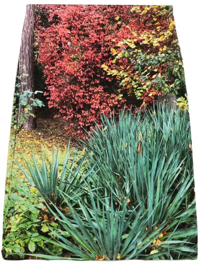Agnès B. Floral Print A-line Skirt In Green