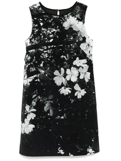 Agnès B. Floral Print Sleeveless Dress In Black