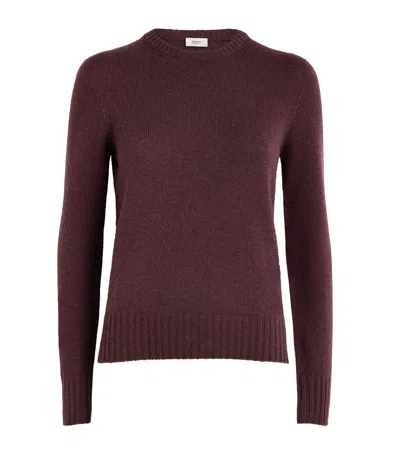 Agnona Cashmere Lipstick Sweater In Burgundy