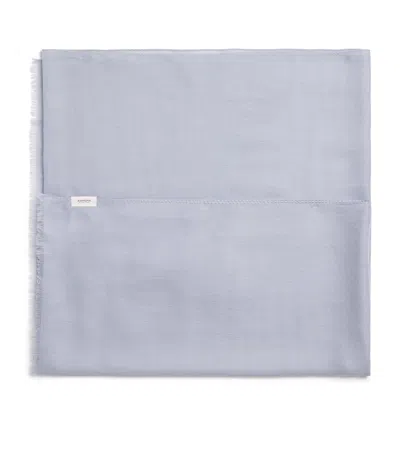 Agnona Cashmere Scarf In Blue