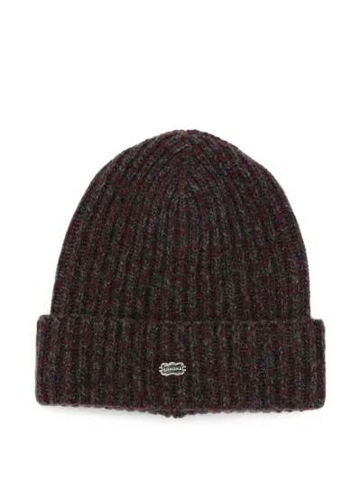 Agnona Ribbed-knit Beanie Hat In Brown