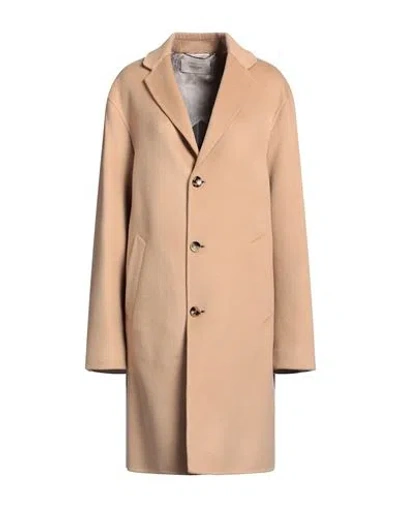 Agnona Woman Coat Camel Size 14 Cashmere In Brown