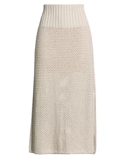 Agnona Woman Midi Skirt Light Grey Size S Silk, Cotton