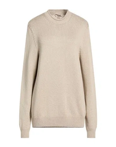 Agnona Woman Sweater Taupe Size M Silk, Cotton, Metal In Neutral