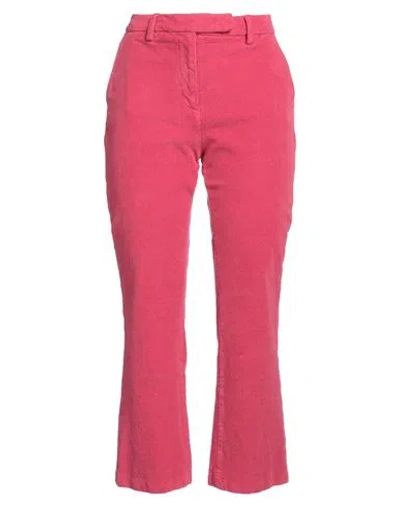 Ago E Filo Woman Pants Magenta Size 8 Cotton, Elastane