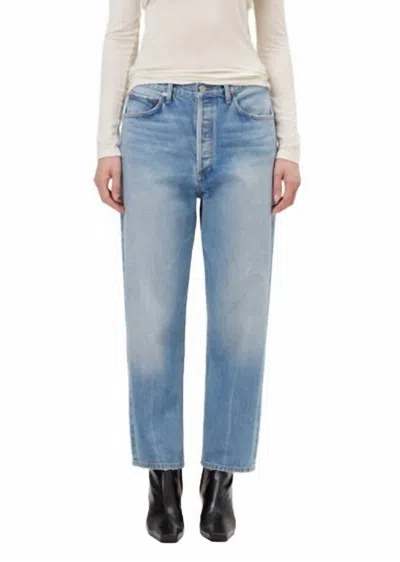 Agolde 90's Crop Mid Rise Straight Jean In Bound In Multi