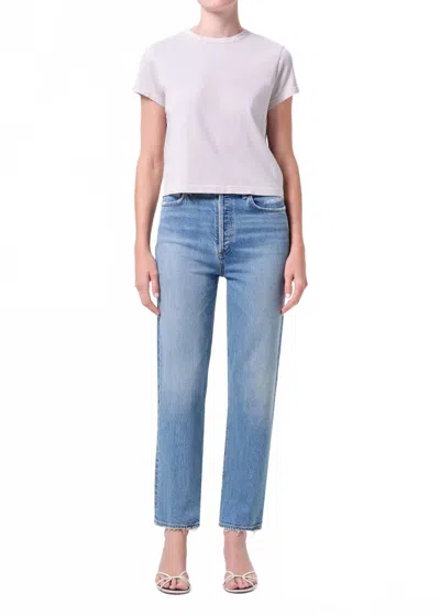 Agolde 90's Pinch Waist Crop Jeans In Renew In Multi