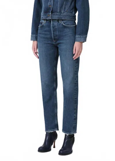 Agolde 90's Pinch Waist High Rise Straight Leg Jean In Range In Blue