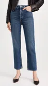Agolde 90's Pinch Waist Jeans In Solace In Multi