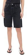 Agolde 90's Denim Shorts In Hitch