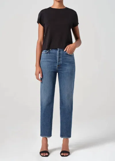 Agolde 90s Pinch Waist Crop Jeans In Solace In Multi