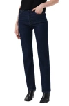 Agolde '90s Pinch Waist High Waist Straight Leg Jeans In Animal Print