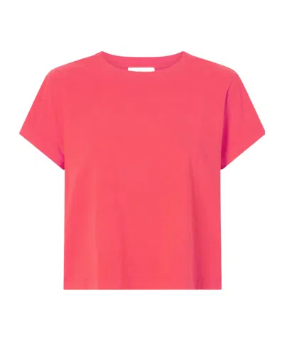 Agolde Adine Cropped T-shirt In Pink