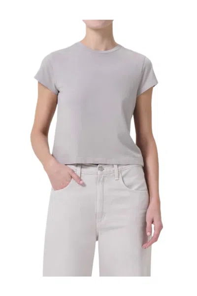 Agolde Adine Shrunken Cropped T-shirt In Flake In Neutral