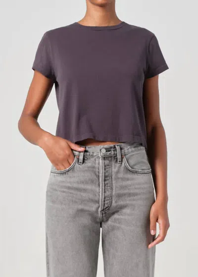 Agolde Adine Shrunken Tee In Shade In Multi