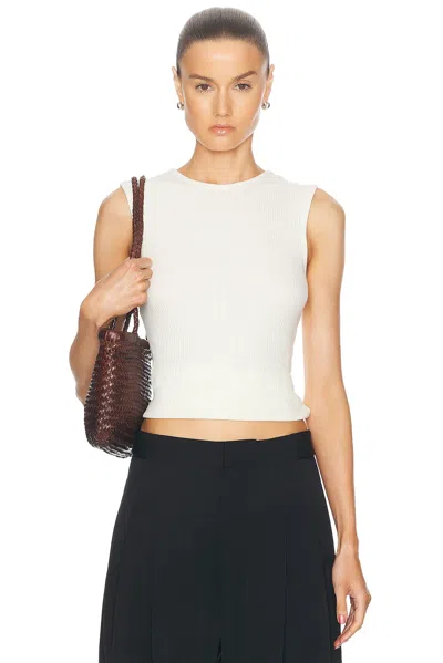 Agolde Sleeveless Ribbed Tank Top In Wired Light Grey