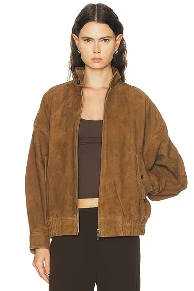 Agolde Blair Jacket In Pecan