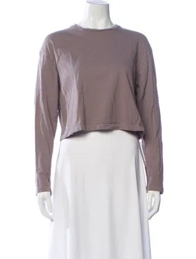 Pre-owned Agolde Crew Neck Long Sleeve Crop Top In Gray
