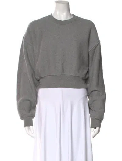 Pre-owned Agolde Crew Neck Long Sleeve Sweatshirt In Gray
