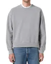 Agolde Dane Crewneck Sweatshirt In Patagonia