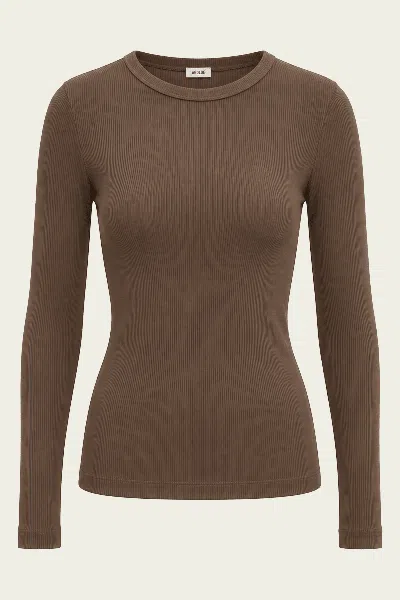 Agolde Delphi Slim Tee In Brunel In Brown