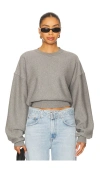Agolde Kit Sweatshirt In Gray