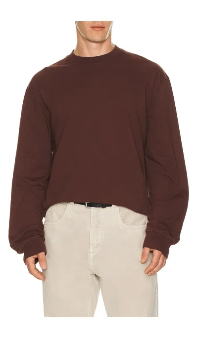 Agolde Long Sleeve Asha Tee In Brown