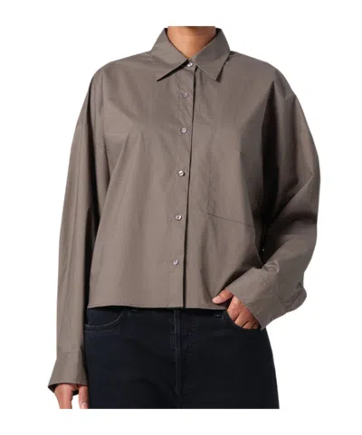 Agolde Long Sleeve Shirt In Brown