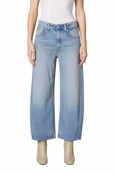 Agolde Low Curve Crop Jean In Reset In Blue