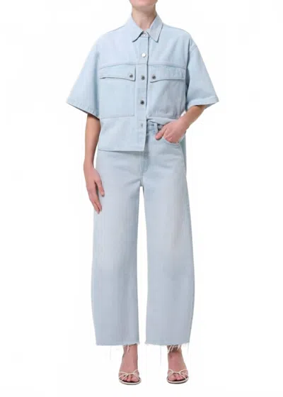 Agolde Low Curve Fray Jean In Flourish In Blue
