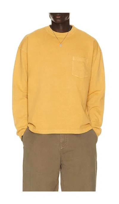 Agolde Lucan Long Sleeve Tee In 赭色
