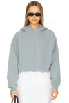 Agolde Mari Pull Over Hoodie In Mineral