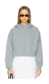 Agolde Mari Pull Over Hoodie In Mineral In Slate