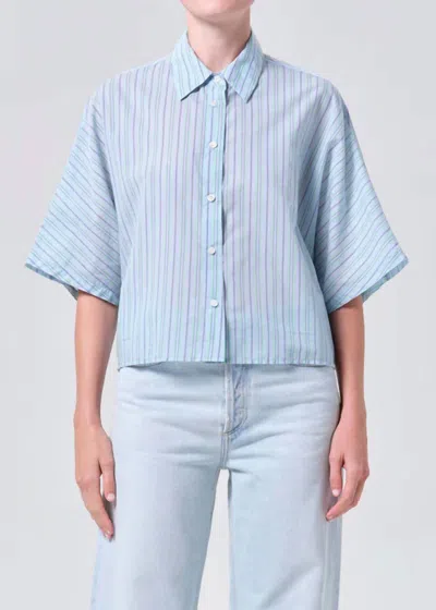 Agolde Merrin Shirt In Wirrel Stripe Powder Blue In Animal Print