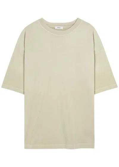 Agolde Portman Cotton T-shirt In Light Green